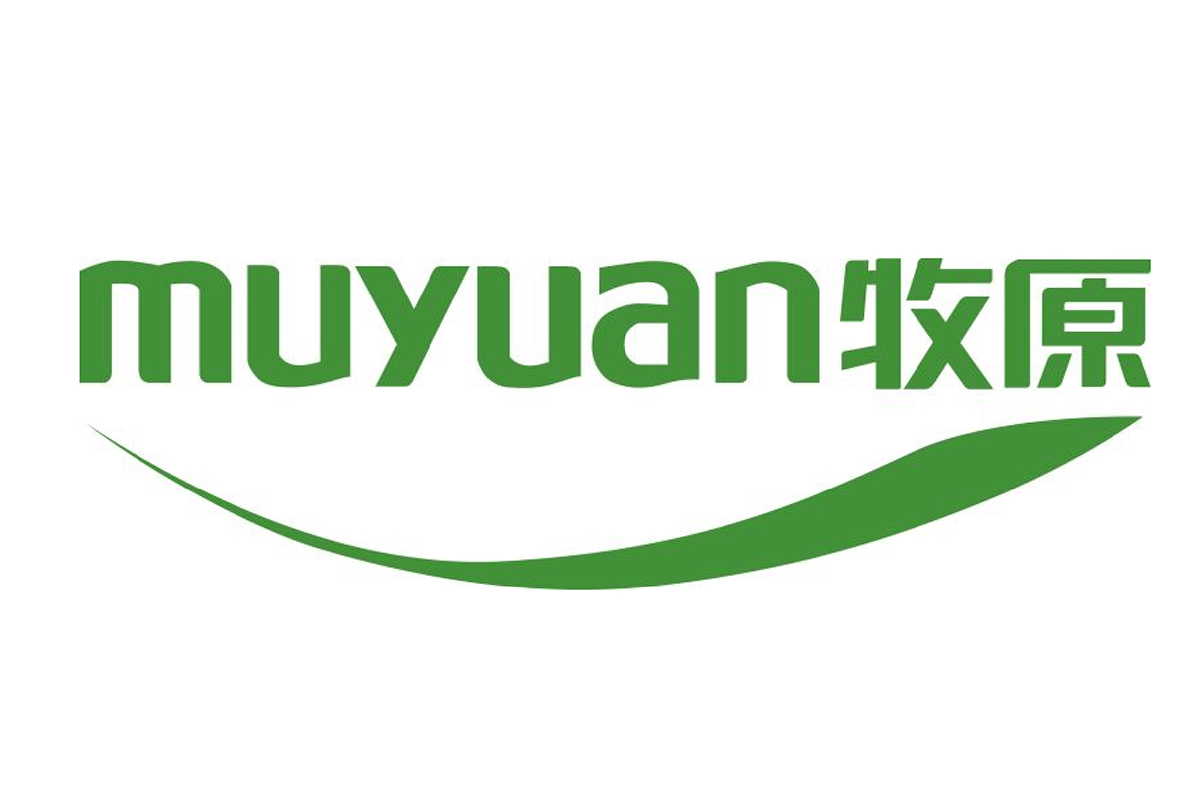 首页 网站logo